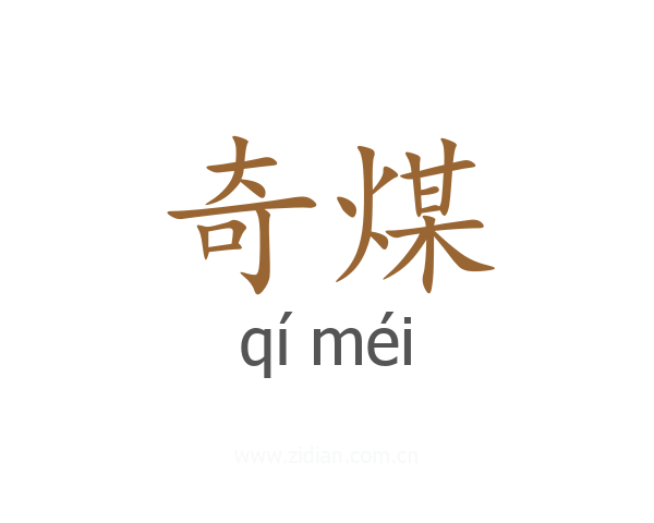 奇煤