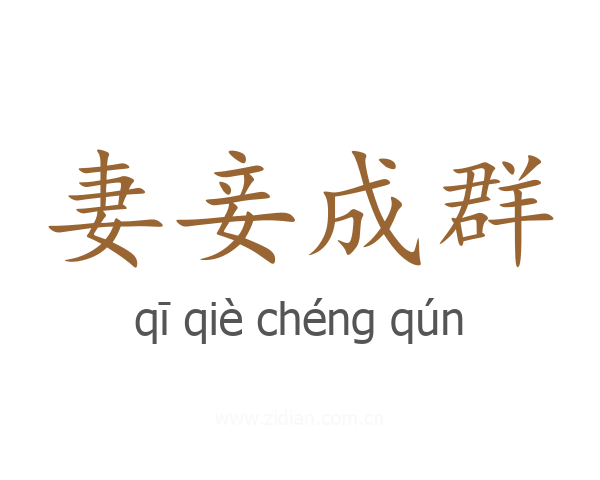 妻妾成群