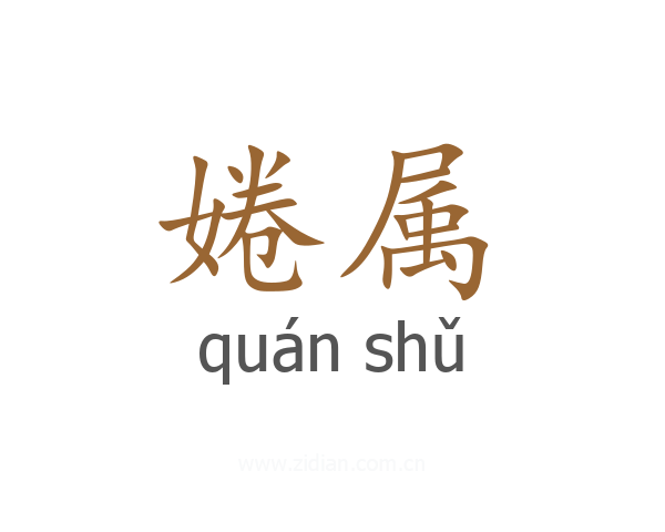 婘属