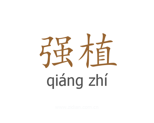 强植