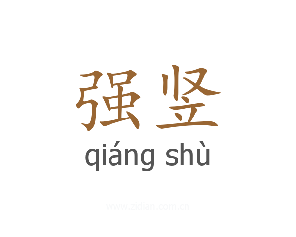 强竖