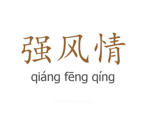 强风情