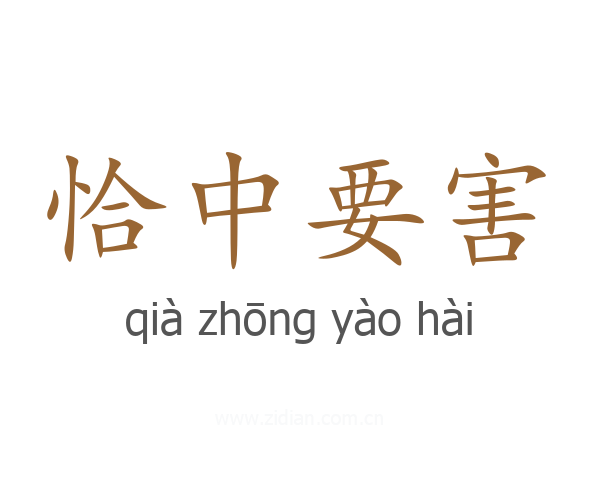 恰中要害