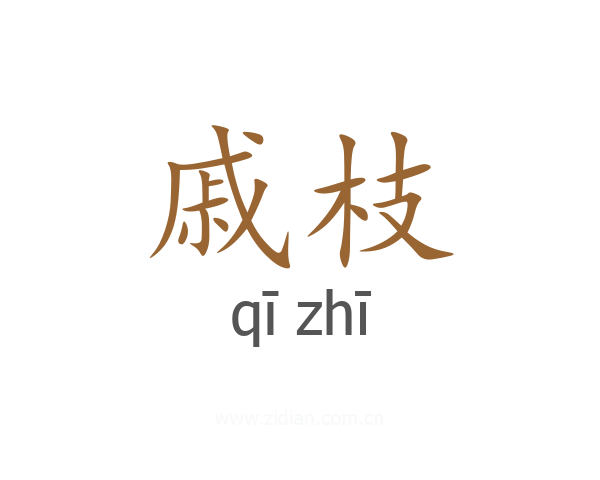 戚枝