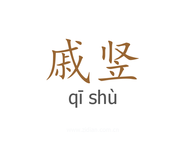 戚竖