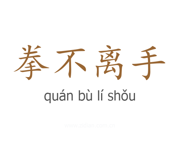 拳不离手