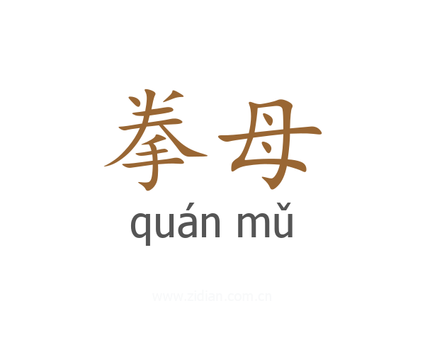拳母