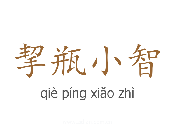 挈瓶小智