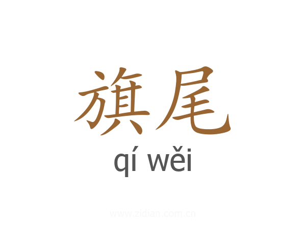 旗尾