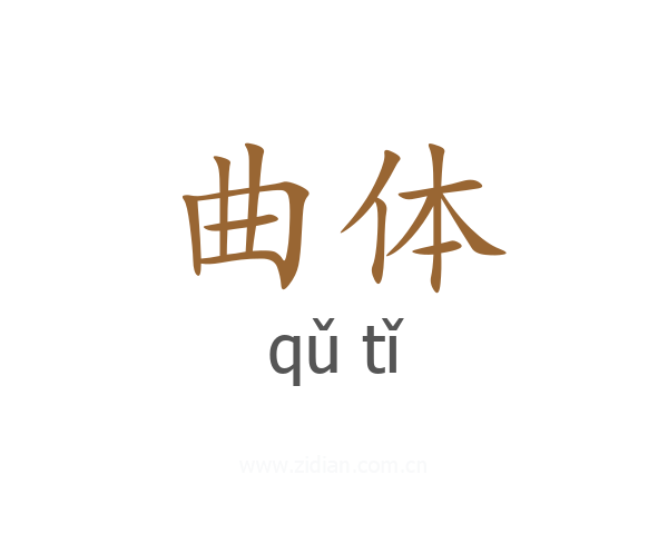 曲体