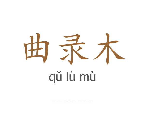 曲录木