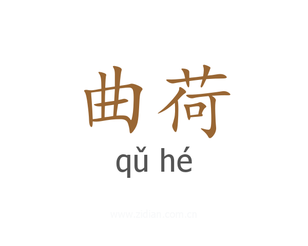 曲荷