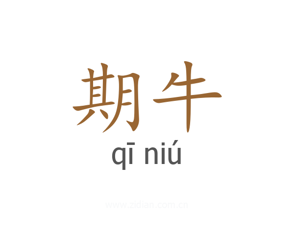 期牛