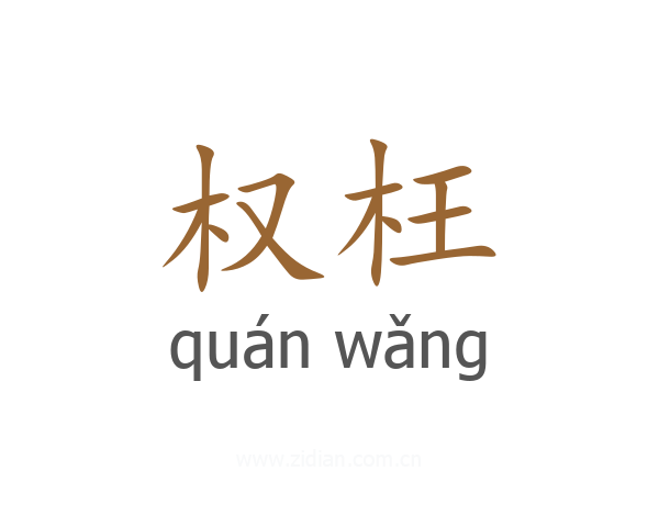 权枉