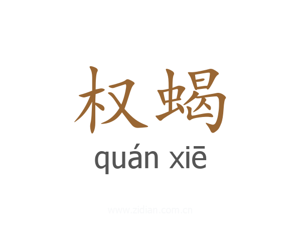 权蝎