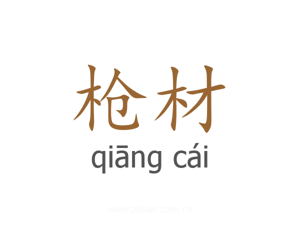 枪材