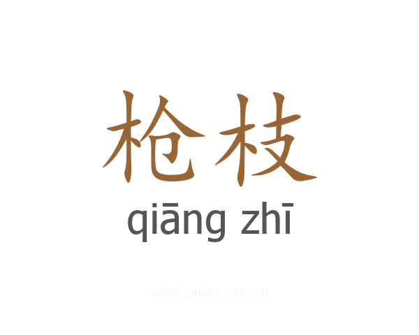 枪枝