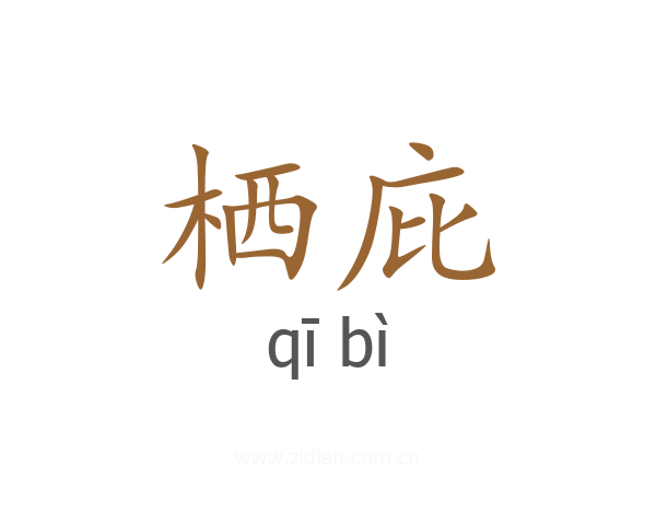 栖庇