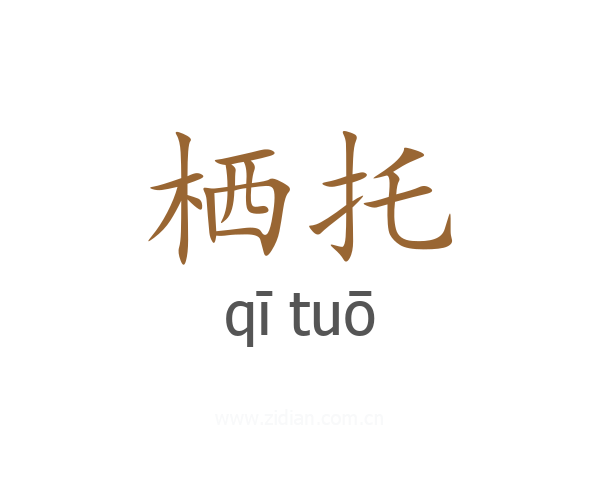 栖托