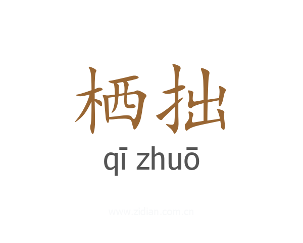 栖拙