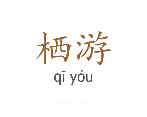 栖游