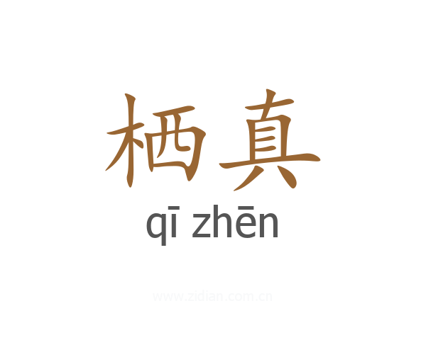 栖真