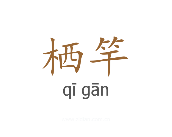 栖竿