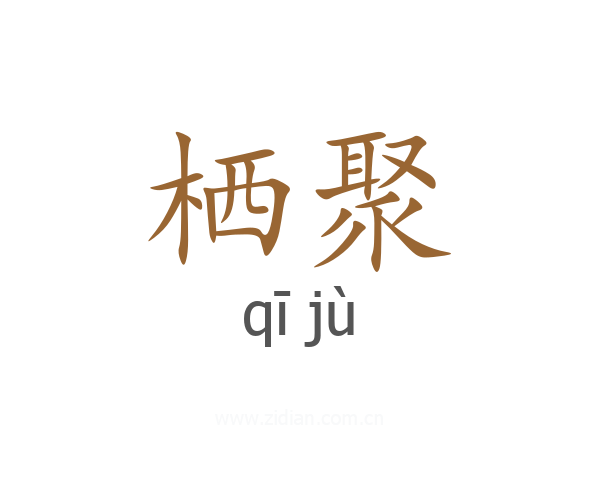 栖聚