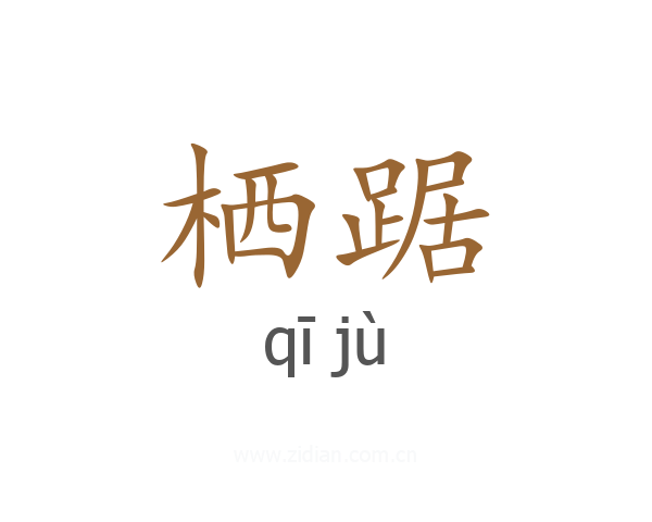 栖踞