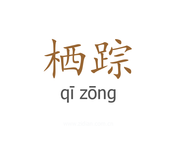 栖踪