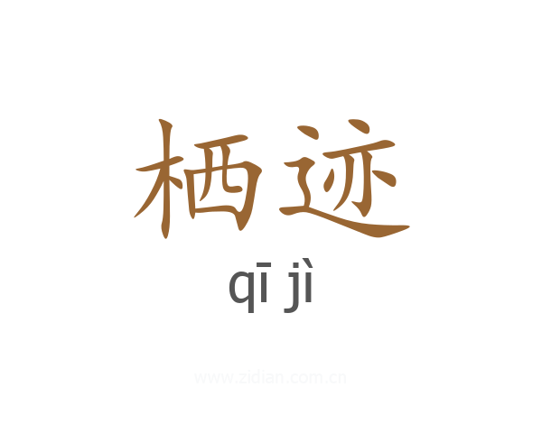 栖迹