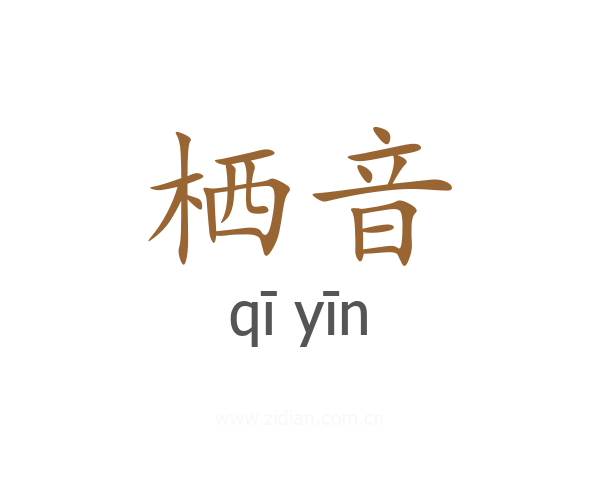 栖音