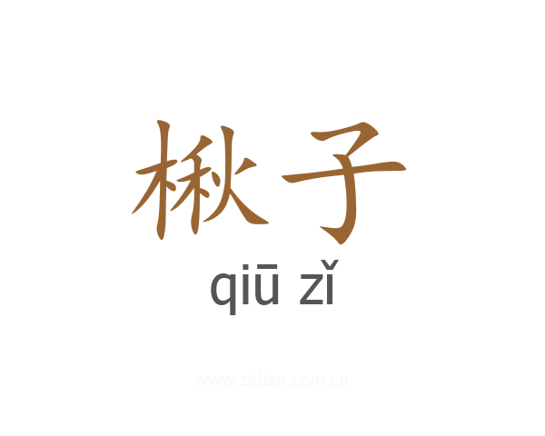 楸子