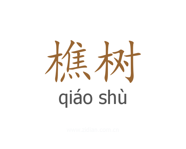 樵树