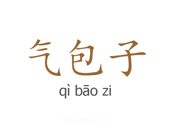 气包子