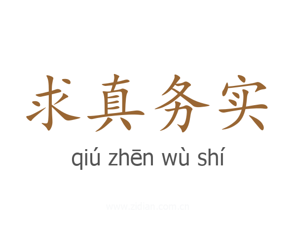 求真务实
