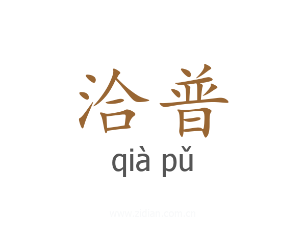 洽普