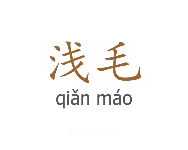浅毛