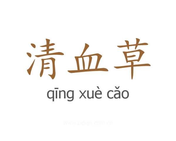 清血草