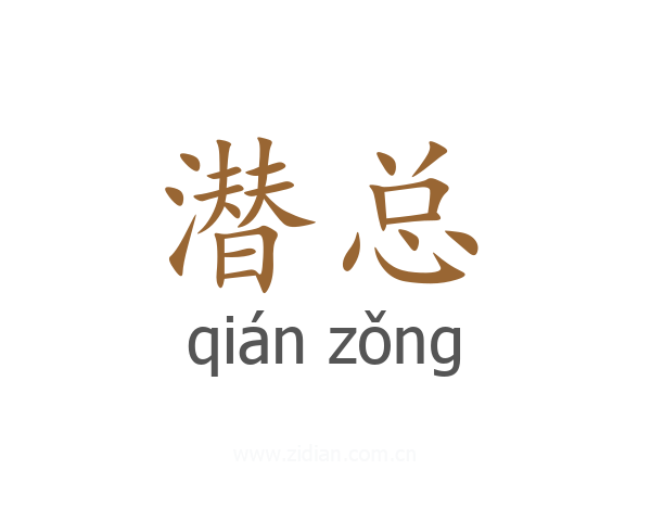 潜总