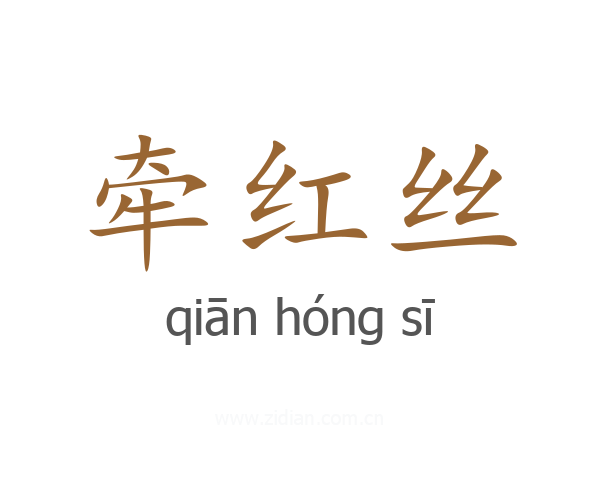 牵红丝