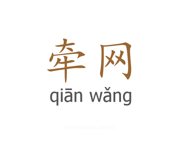 牵网
