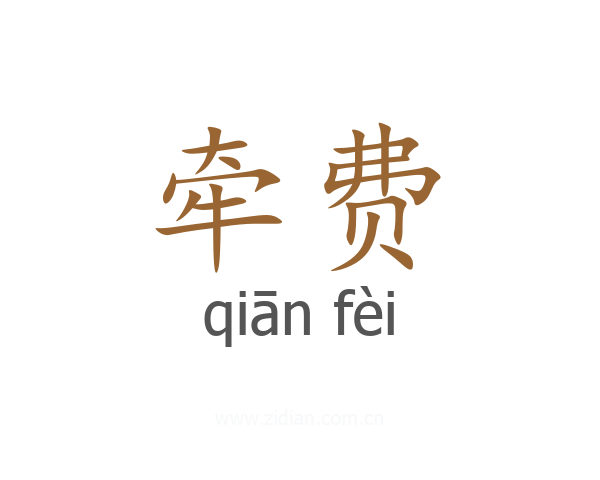 牵费