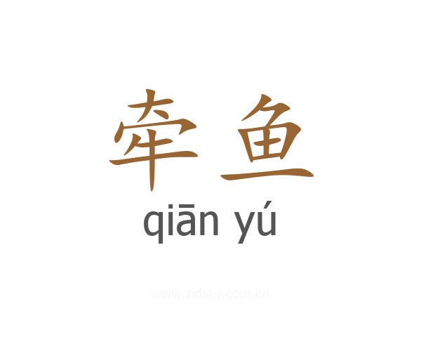 牵鱼