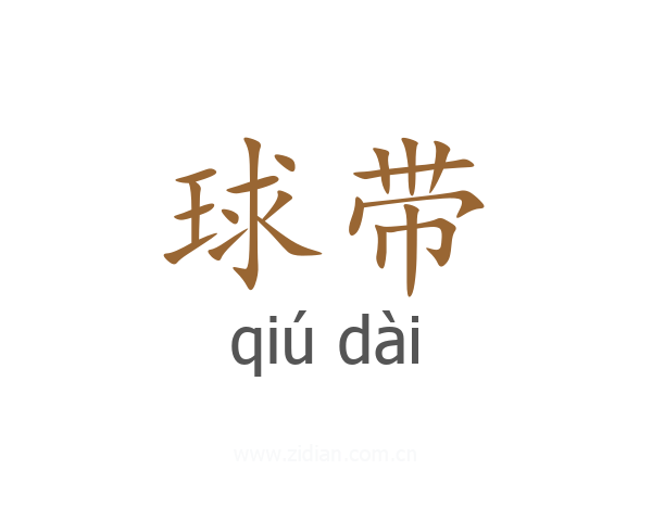 球带