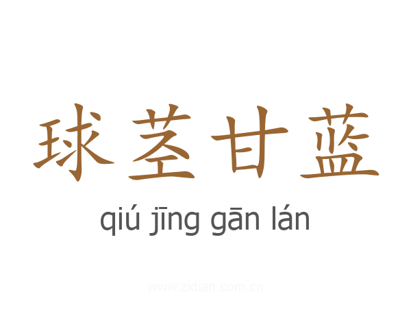 球茎甘蓝