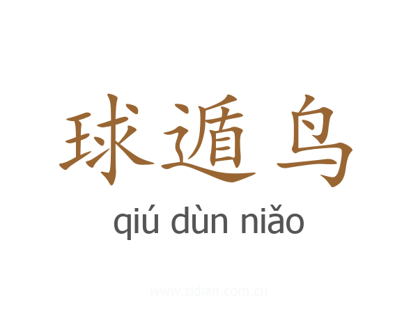 球遁鸟