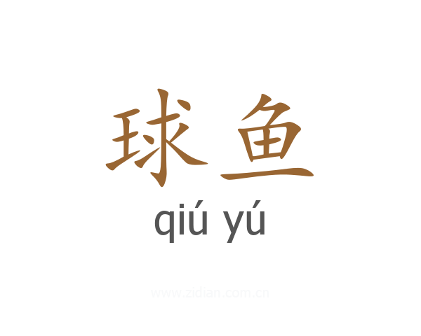 球鱼