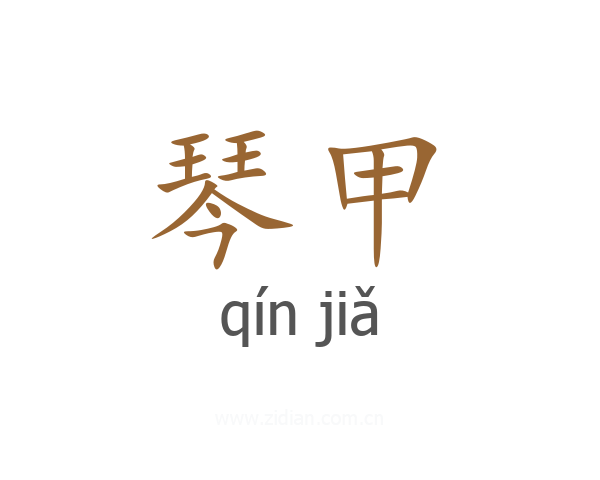 琴甲
