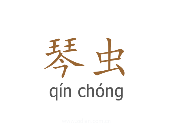琴虫